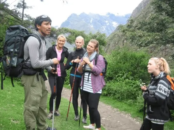 Licensed Inca Trail guide leading hikers from KM 104 to Machu Picchu